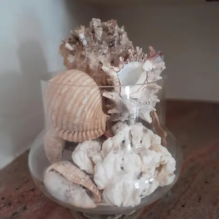 Casa Del Mare チェルヴィア